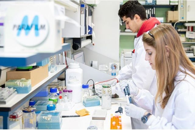 El Ministerio de Ciencia e Innovación crea los Premios Nacionales de Investigación para Jóvenes - 1, Foto 1