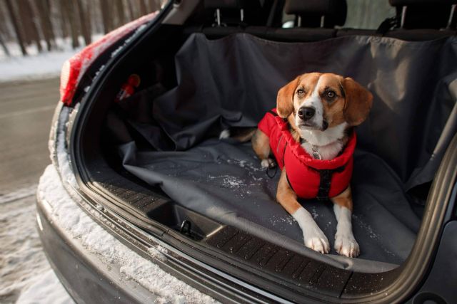 Distribuciones Cantelar dispone de protector maletero perro con material PVC - 1, Foto 1