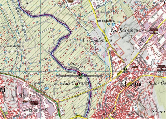 Incendio de cañas en la mota del Río Segura, Ceutí - 1, Foto 1