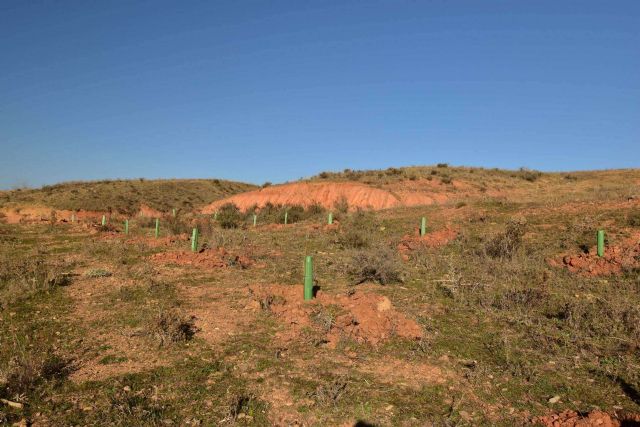 Fundación Alcoraz y la empresa ICT presentan su campaña para cuidar del medioambiente - 1, Foto 1