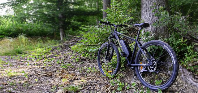 Eleglide, las bicicletas eléctricas más baratas del mercado que triunfan en Europa, por fin llegan a España - 1, Foto 1