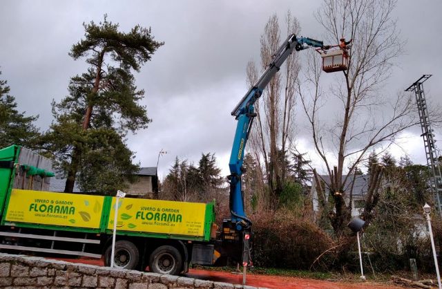 ¿Por qué recurrir a una empresa especializada en poda de árboles? por FLORAMA - 1, Foto 1