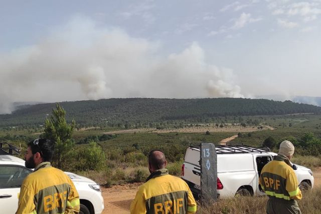 El MITECO apoya las tareas de extinción de los incendios forestales en Riofrío de Aliste (Zamora), Yesa (Navarra) y Artesa de Segre (Lleida) - 1, Foto 1