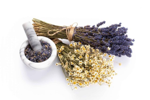 OceanEcoFuerte, todo lo que se debe saber sobre el detergente ecológico y cómo contribuye con el planeta - 1, Foto 1