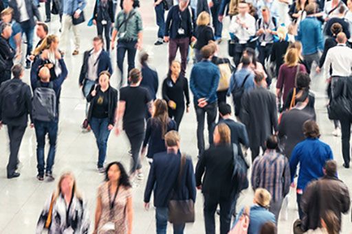 Los ingresos por cotizaciones a la Seguridad Social crecen un 7,8%, hasta los 57.413 millones de euros, alcanzando un nuevo máximo histórico - 1, Foto 1