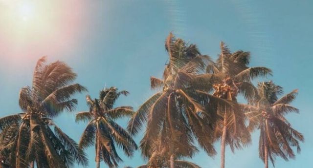 Las buenas expectativas del turismo empujan las inversiones en marketing, según MediaShark - 1, Foto 1