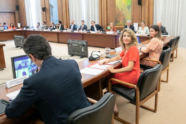 Raquel Sánchez informa a las Comunidades Autónomas de las ayudas sobre transporte público y del reparto de 110 millones de euros para digitalización - 1, Foto 1