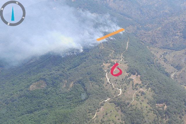 El MITECO despliega un amplio dispositivo para apoyar la extinción de incendios forestales en varios puntos de España - 1, Foto 1