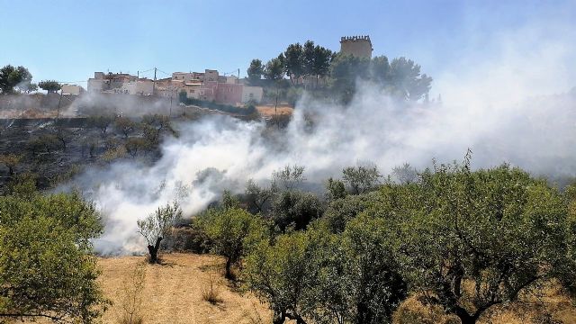 Incendio de vegetación junto al cementerio de Moratalla - 1, Foto 1