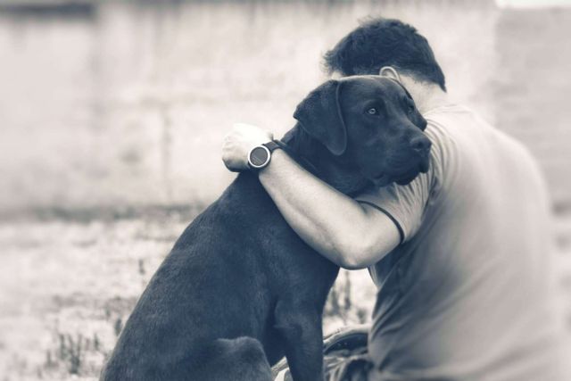 Perros de apoyo emocional para la prevención del suicidio - 1, Foto 1
