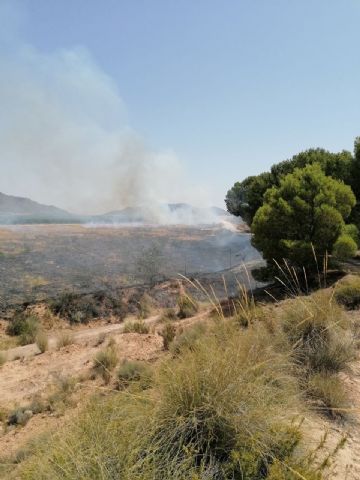 Conato de incendio forestal en la carretera A-33 Murcia>Yecla en el Cabezo de La Rosa - 1, Foto 1