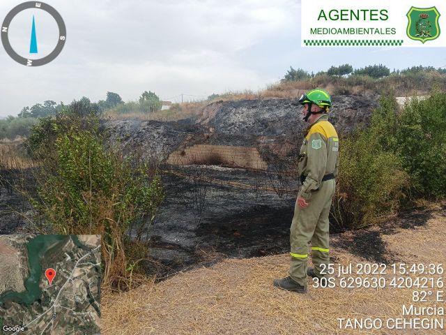 Efectivos del Plan Infomur extinguen un incendio agrícola en Pliego - 1, Foto 1