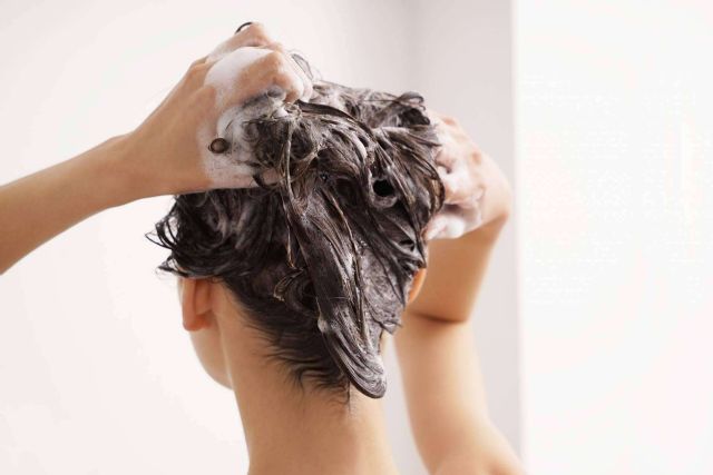 Tulipán Negro, la marca más reconocida de Briseis a nivel nacional e internacional - 1, Foto 1