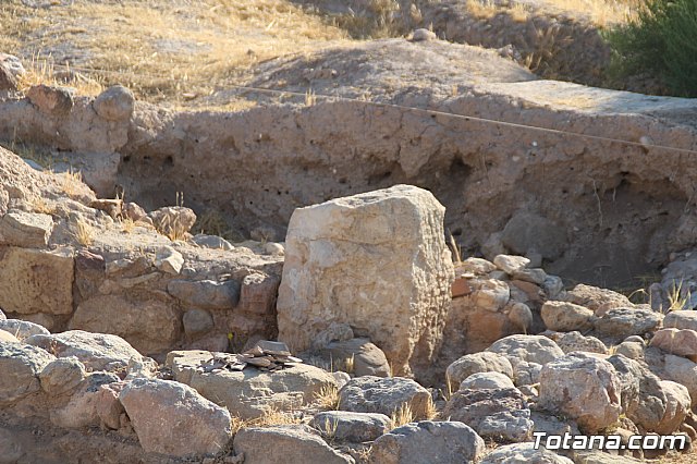 Autoridades locales visitan la IX edicin del Campo de Trabajo Arqueolgico en el yacimiento Las Cabezuelas - 34