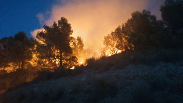 Incendio forestal en Macisvenda, Abanilla - 1, Foto 1