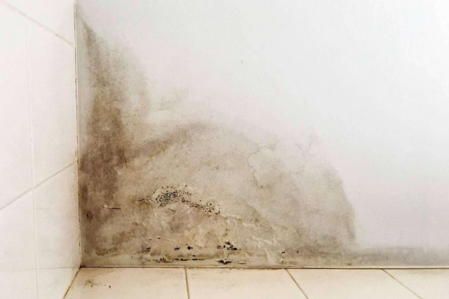 Todos los certificados de calidad cumplidos en el sistema Preactiva contra los problemas de humedades - 1, Foto 1