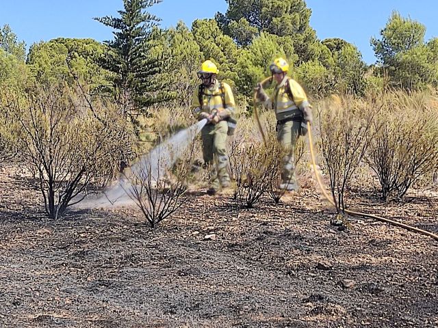 Efectivos del Plan Infomur extinguen un incendio forestal en Jumilla - 1, Foto 1