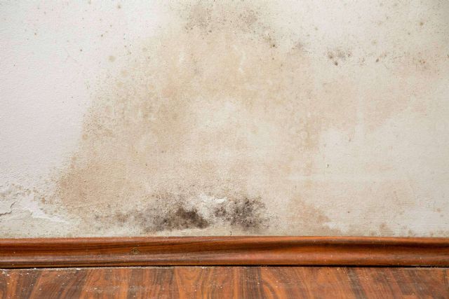 Preactiva permite acabar con las humedades en paredes - 1, Foto 1
