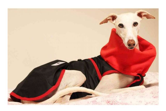 La parafarmacia Lucas & Lola vende accesorios exclusivos para mascotas - 1, Foto 1