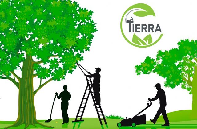 El propietario farmacéutico Rítmico EMPRESA / La Tierra Jardinería explica los principios de la poda otoñal de  árboles y arbustos - murcia.com