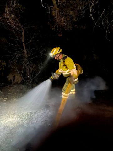 Dan por extinguido el incendio de la Fuente del Algarrobo, en Barinas, Abanilla - 1, Foto 1