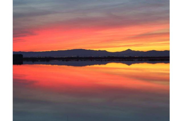 Albumar ofrece paseos en barca por la Albufera para descubrir el lugar - 1, Foto 1