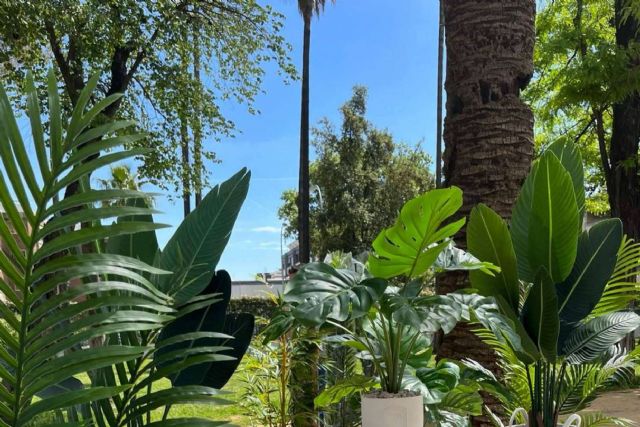 Zamyo permite adquirir plantas artificiales por internet - 1, Foto 1