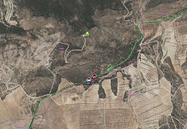 Fallece al colisionar el vehículo que conducía con un árbol en Cieza - 1, Foto 1