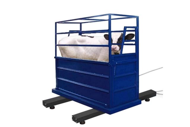 BalanzasDigitales ofrece básculas para pesar ganado - 1, Foto 1