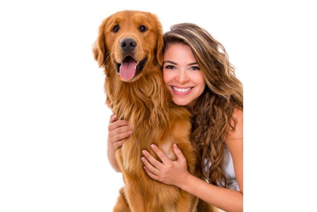 La elección del momento ideal para adoptar un perro - 1, Foto 1