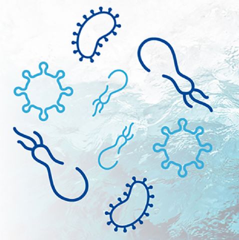 Cómo adelantarse al otoño con Quinton Medical Probiotic Digest Health, primer probiótico de agua de mar - 1, Foto 1