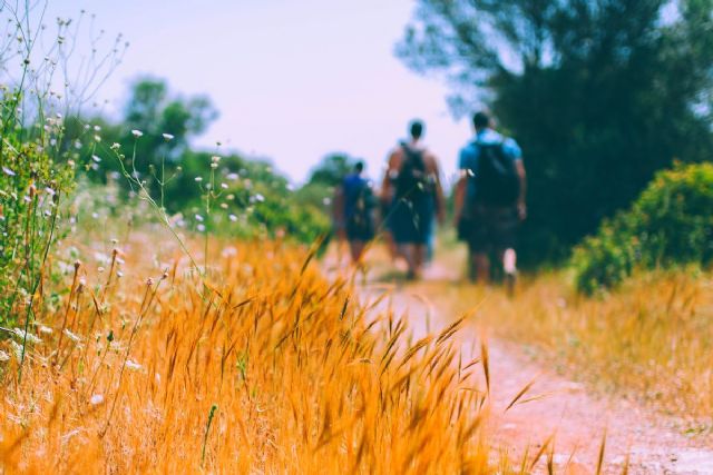 Las principales rutas del Camino de Santiago, por Viajes Camino de Santiago - 1, Foto 1