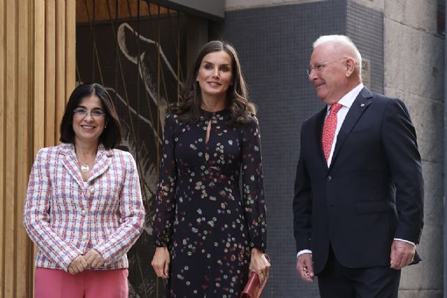 Darias: la hoja de ruta en Salud Mental está orientada a la prevención, la detección, el tratamiento y la recuperación - 1, Foto 1