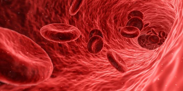 Las plaquetas sanguíneas y la hormona de crecimiento mejoran la receptividad uterina de los embriones, según el Dr. Jan Tesarik - 1, Foto 1