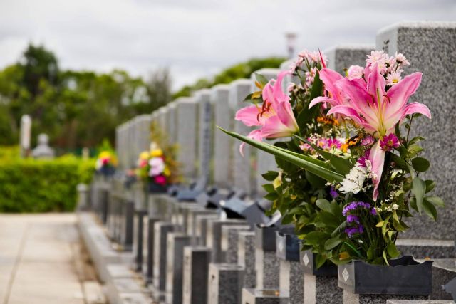 Durante el Día de Todos los Santos crece el interés por las flores para el cementerio en un 800 % - 1, Foto 1