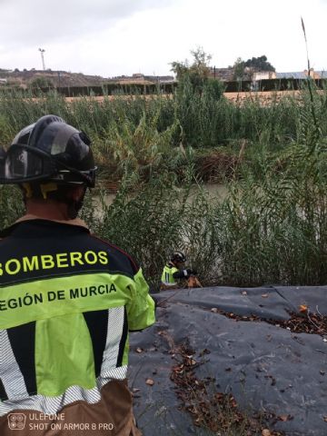 Bomberos del Consorcio de Extinción de Incendios y Salvamento de la Región de Murcia rescatan un perro en Archena - 1, Foto 1
