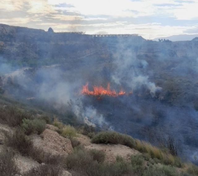 Incendio forestal en Molina de Segura - 1, Foto 1