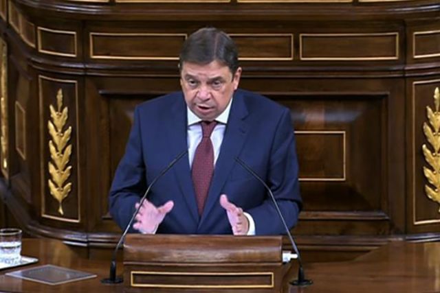 Luis Planas: Estos presupuestos contribuirán a consolidar la sostenibilidad, competitividad y rentabilidad del sector agrario y pesquero - 1, Foto 1