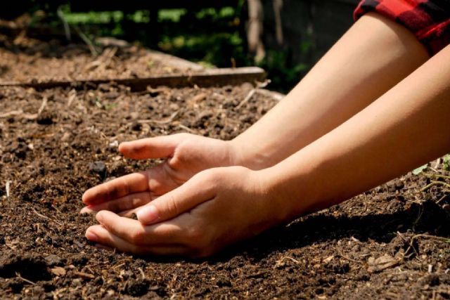 ¿Por qué es importante la agricultura sostenible?, por Saboranaranjas - 1, Foto 1