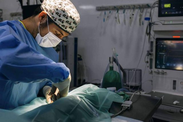 El Hospital Veterinario Privet lanza una campaña de esterilización en la comunidad de Madrid - 1, Foto 1