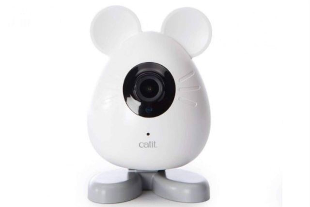 ¿Dónde encontrar una cámara de vigilancia para mascotas? ParaPerrosyGatos - 1, Foto 1