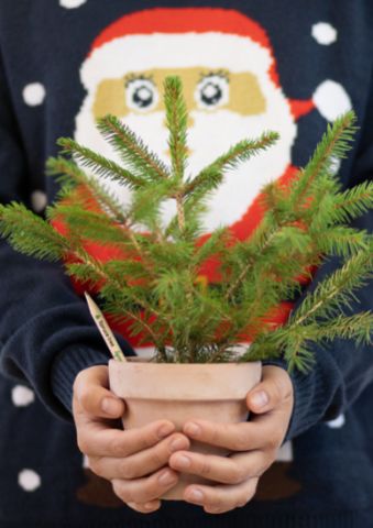 Regalos de Navidad ecológicos: un lápiz y un maquillaje plantable de SproutWorld - 1, Foto 1