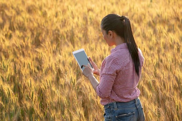 ¿Qué es Servi Line?, la app de servicios profesionales - 1, Foto 1