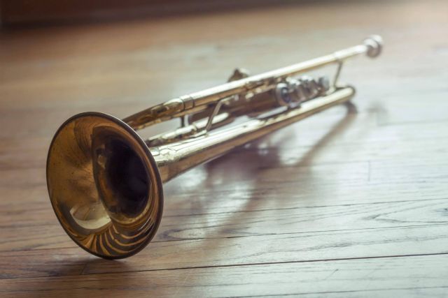 Asistir a clases de trompeta online adaptadas a los gustos y niveles de los estudiantes en Erizo - 1, Foto 1