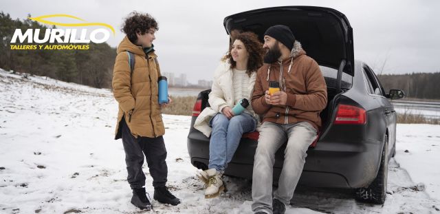 Talleres Murillo explica cómo preparar el coche para el invierno - 1, Foto 1