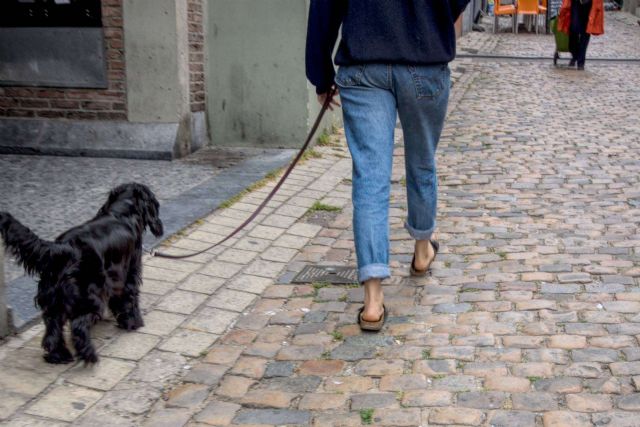 Mascozyme® Urban Cleaner es la solución a la contaminación ambiental por excrementos y orines de perros y gatos - 1, Foto 1