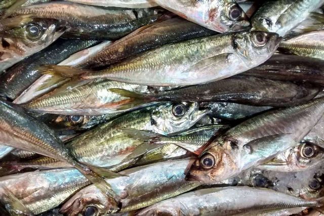 Lonja de Ayamonte se encarga de llevar uno de los mejores jureles a la puerta de casa - 1, Foto 1
