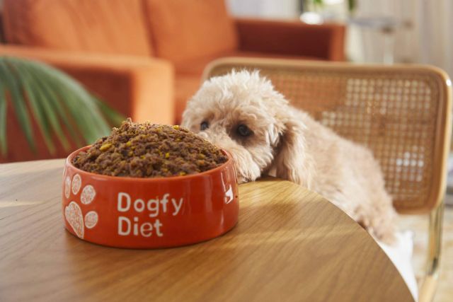 Comida natural cocinada para perros vs. dieta BARF - 1, Foto 1