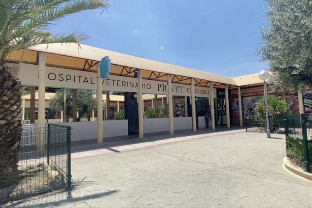 Una gran campaña de recogida de alimentos y materiales, organizada por el Hospital Veterinario Privet - 1, Foto 1