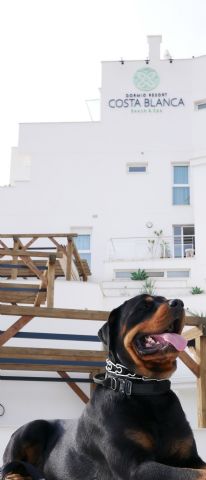 Dormio Resort Costa Blanca, un espacio Pet Friendly para disfrutar en familia - 1, Foto 1